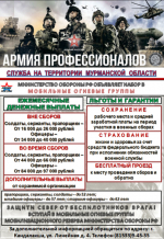 Армия профессионалов