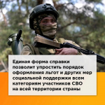 Справку о подтверждении статуса участника СВО можно получить в электронном виде