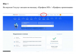 Инструкция по обжалованию дела об административном  правонарушении через Госуслуги