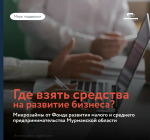 В настоящее время через Фонд развития малого и среднего предпринимательства реализуются механизмы государственной финансовой поддержки субъектов МСП Мурманской области